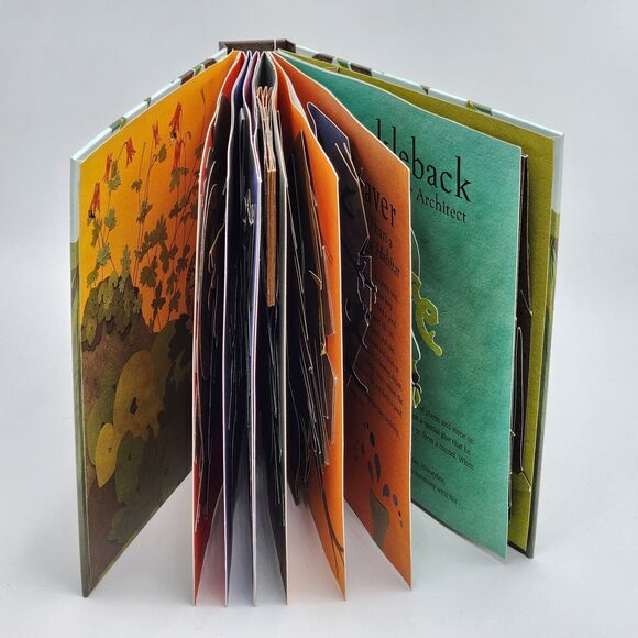 Welcome To The Neighborhood by Shawn Sheehy Pop Up Book Hardcover - Picture 2 of 6